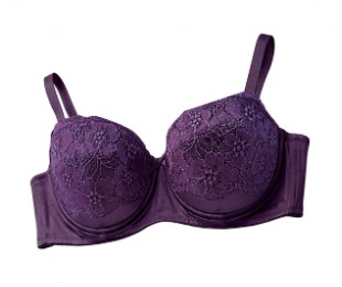 NAOMI UW CNVRTBL LACE BRA - Image 1